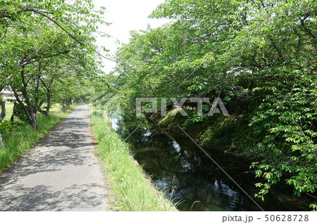 田中城(六間川) 田中城(六間川) 50628728