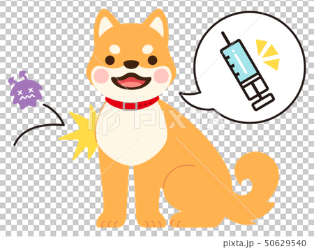 注射の吹き出しとウイルスをはじく犬のイラスト 予防接種のイメージ のイラスト素材