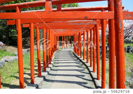 高山稲荷神社 高山稲荷神社 50629716