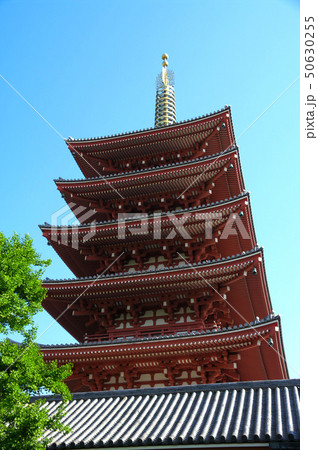 浅草寺五重塔 浅草寺五重塔 50630255