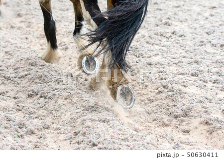 歩く馬の土をける蹄の写真素材