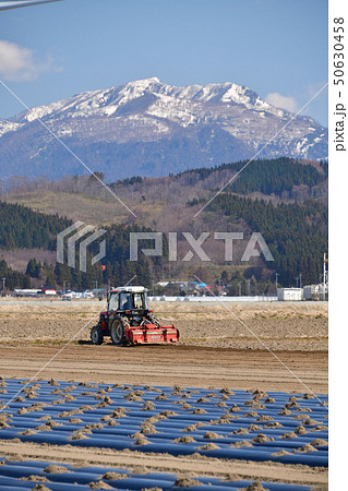 春の北海道江差町でジャガイモの植え付け作業の風景を撮影 50630458