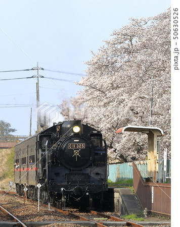 春の真岡鉄道SL 50630526