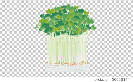 注意：蘿蔔蘿蔔 50630544