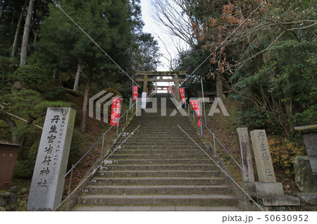 丹生官省符神社 参道 50630952