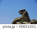 ゴジラ岩 50631031