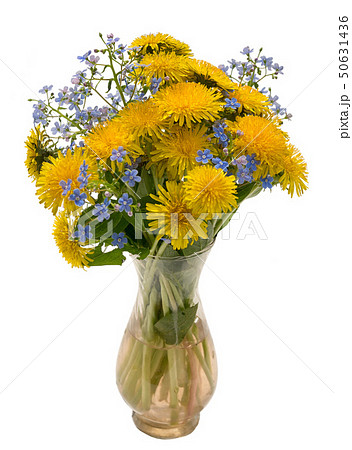 bouquet of dandelions and forget me not in a vase 50631436