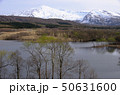 鳥海山　冬師湿原 50631600