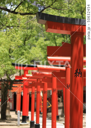 湊川神社(神戸) 湊川神社(神戸) 50632454