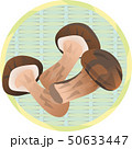 松茸 50633447