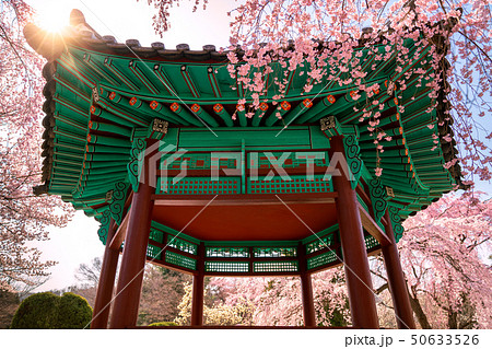 Pavilion in Seoul National Cemetery 50633526