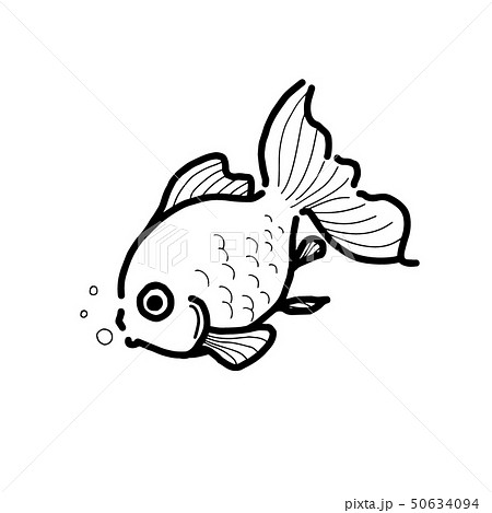 Goldfish Handwriting Black And White Stock Illustration