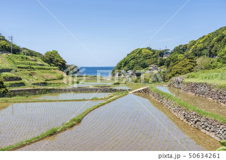 春日の棚田 (長崎県平戸市) 50634261