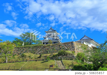 【静岡県】晴天下の浜松城 50635857