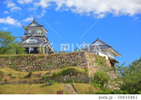 【静岡県】晴天下の浜松城 50635861