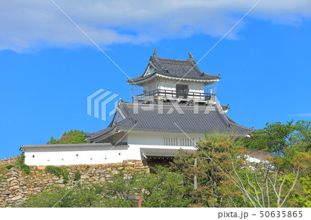 【静岡県】晴天下の浜松城 【静岡県】晴天下の浜松城 50635865