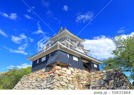 【静岡県】晴天下の浜松城 【静岡県】晴天下の浜松城 50635868