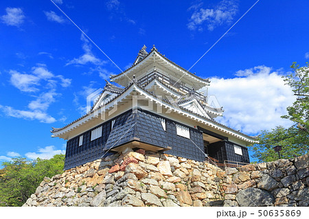 【静岡県】晴天下の浜松城 50635869