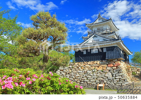 【静岡県】晴天下の浜松城 50635884