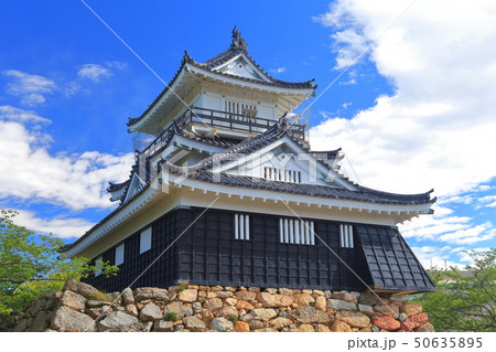 【静岡県】晴天下の浜松城 50635895