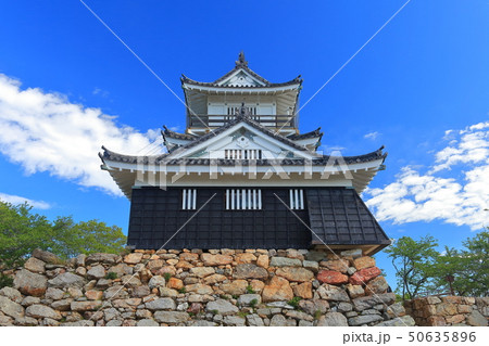 【静岡県】晴天下の浜松城 50635896