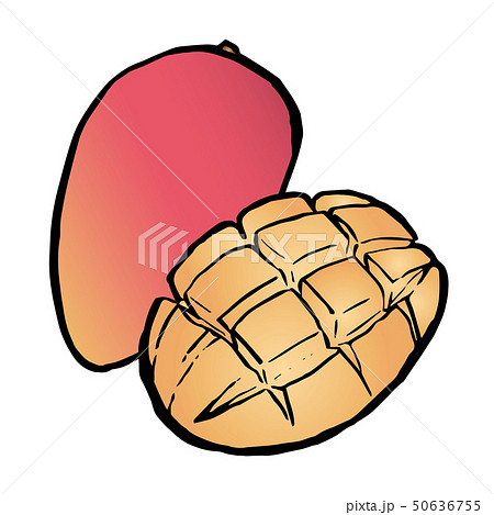 マンゴー 50636755