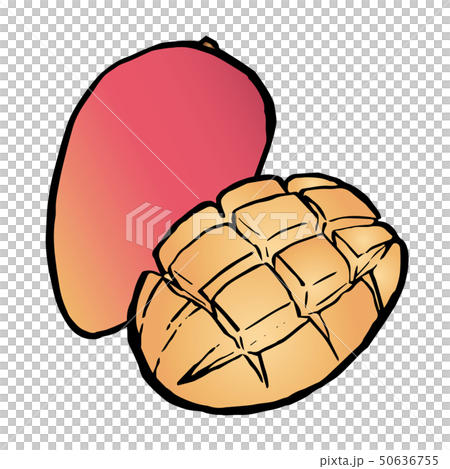 マンゴー 50636755