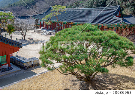 寺院 華厳寺 建物 50636963