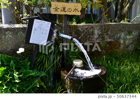 阿蘇 一の宮 水基巡りの町並み 阿蘇 一の宮 水基巡りの町並み 50637344