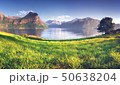 Wonderful view of norvegian fjord, Romsdalsfjord near Andalsnes 50638204