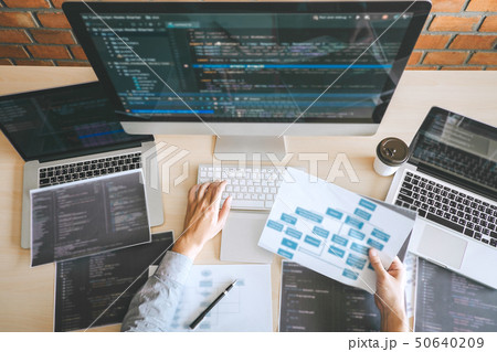 Professional Developer programmer working a 50640209