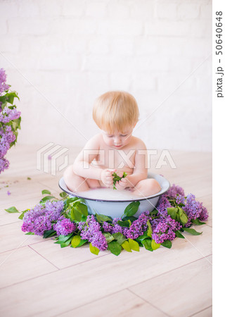 baby boy in an antique milk bath with lilac baby boy in an antique milk bath with lilac 50640648
