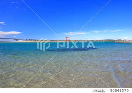 【静岡県】晴天下の弁天島海浜公園 50641579