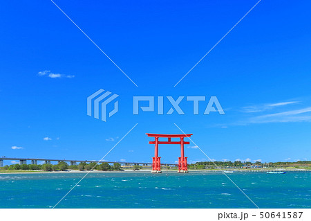 【静岡県】晴天下の弁天島海浜公園 【静岡県】晴天下の弁天島海浜公園 50641587