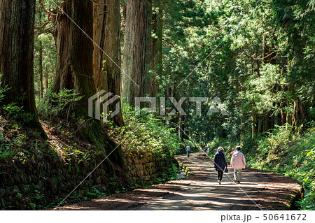 日光杉並木 50641672