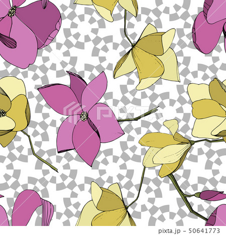 Vector Magnolia floral botanical flowers. Purple and yellow engraved ink art. Seamless background 50641773