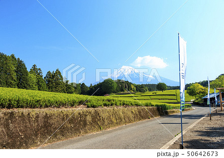 大熊笹場(初夏) 大熊笹場(初夏) 50642673