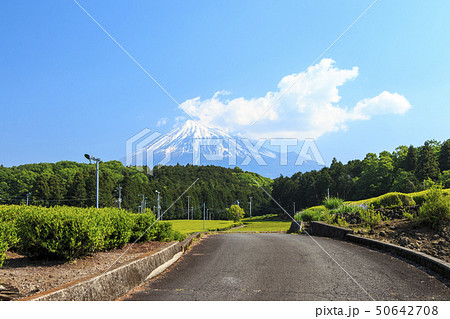 大熊笹場（初夏） 50642708