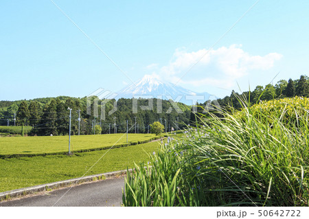 大熊笹場(初夏) 大熊笹場(初夏) 50642722