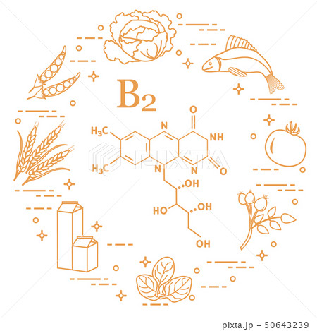 Foods rich in vitamin B2 Fish, peas and other. 50643239