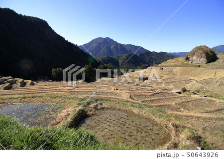 丸山千枚田 50643926