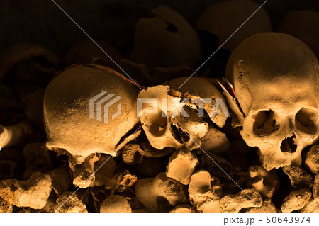 Skull and bones Skull and bones 50643974