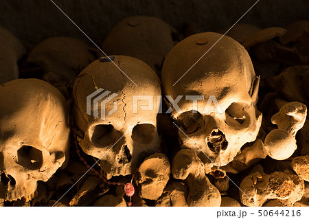 Skull and bones 50644216