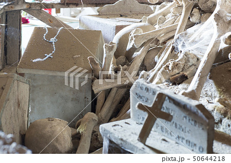 Skull and bones 50644218