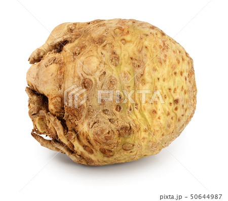 Fresh celery root isolated on white background 50644987