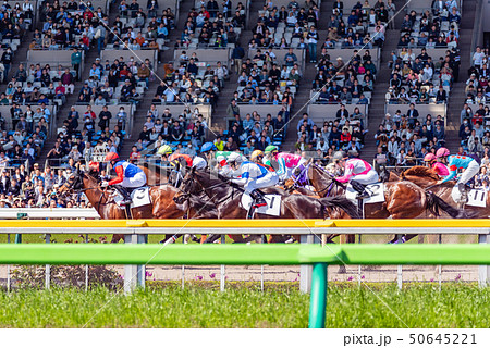 競馬スタート 50645221