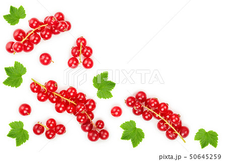 Red currant berry with leaf isolated on white background. Top view. Flat lay pattern 50645259