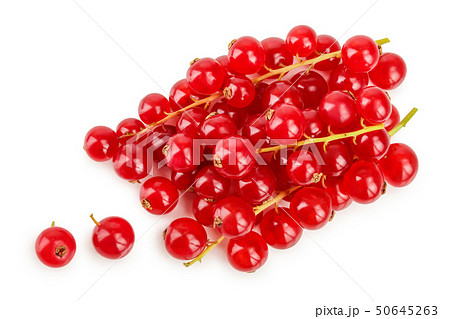 Red currant berry isolated on white background. Top view. Flat lay pattern Red currant berry isolated on white background. Top view. Flat lay pattern 50645263