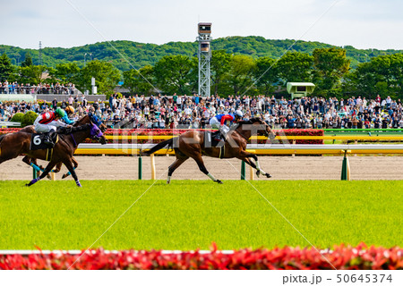 競馬レース 50645374