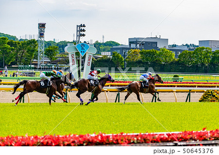 競馬レース 競馬レース 50645376